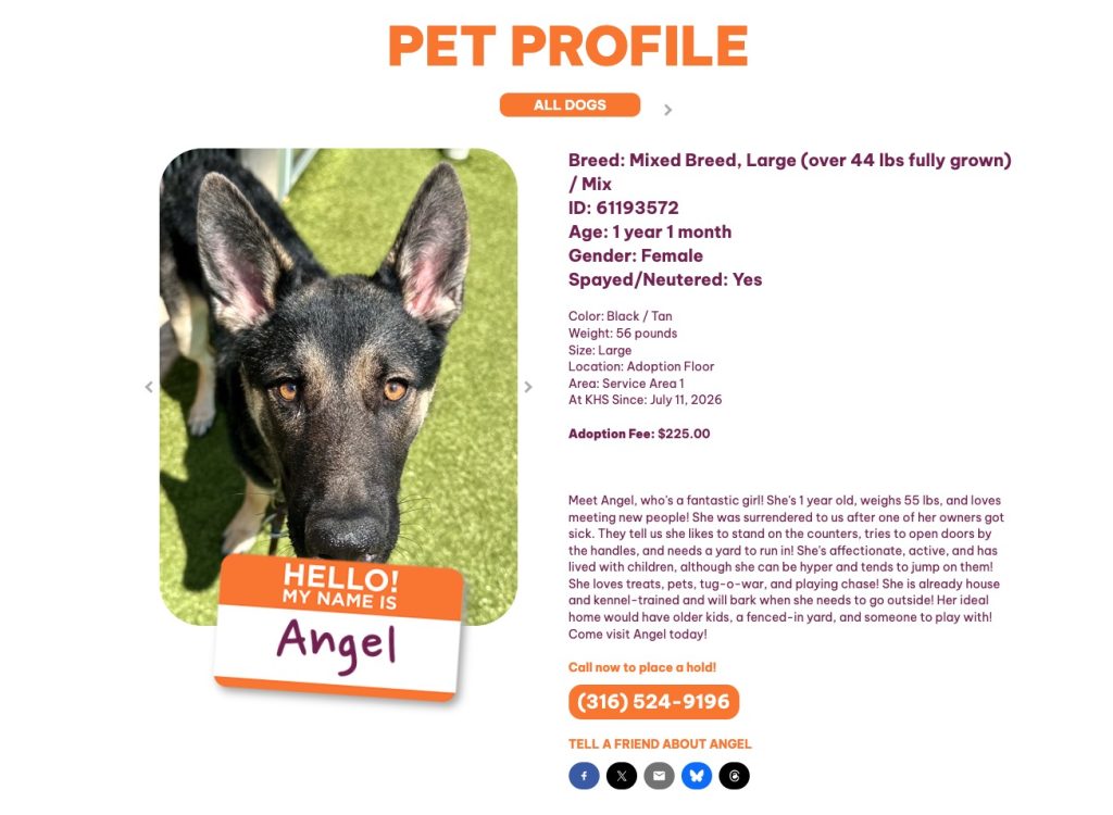 pet profile interior view on the kansas humane society website